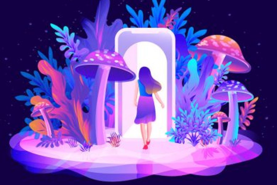 blog3-390x290